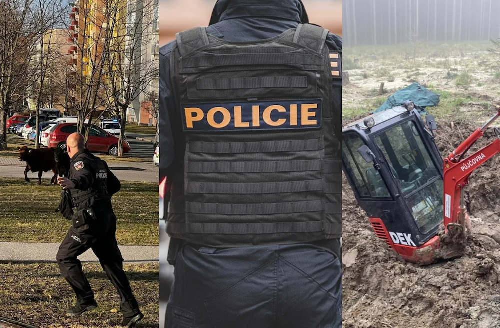 Bizarní příběhy policistů. Krávy v ulicích, náruživá partnerka a bagr v bahně