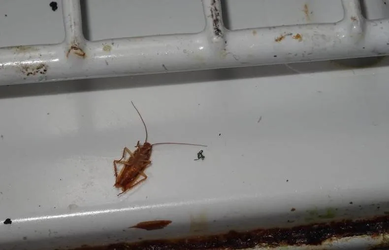 Restaurace Met zůstává po kontrole inspekce uzavřena. Čekáme na další kontrolu, říkají provozovatelé