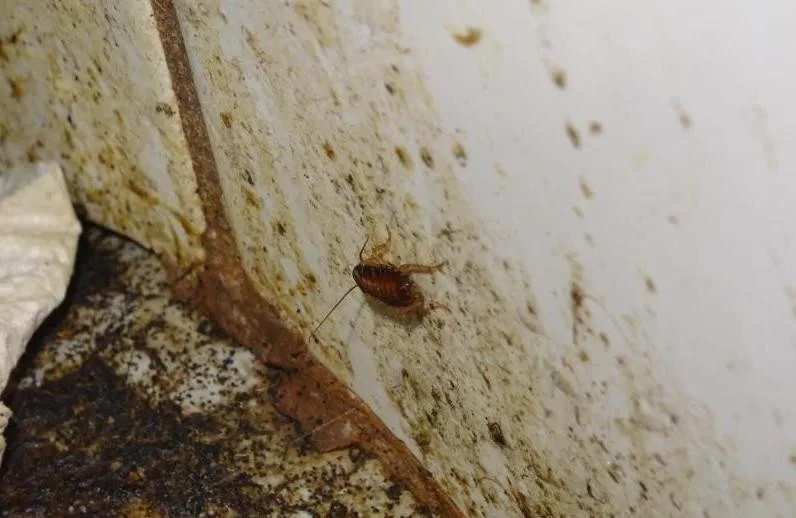 Restaurace Met zůstává po kontrole inspekce uzavřena. Čekáme na další kontrolu, říkají provozovatelé