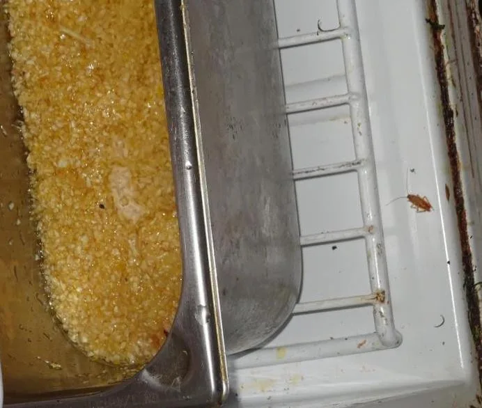 Restaurace Met zůstává po kontrole inspekce uzavřena. Čekáme na další kontrolu, říkají provozovatelé