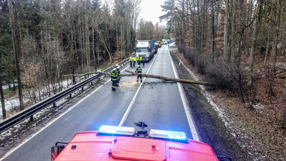 Jihočeský kraj zasáhne silný vítr, varovali meteorologové
