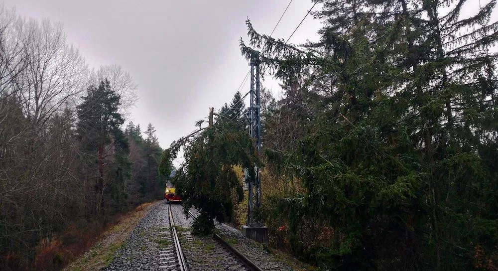 Správa železnic kácela dřeviny kolem tratí. Cílem je snížit počet mimořádných událostí