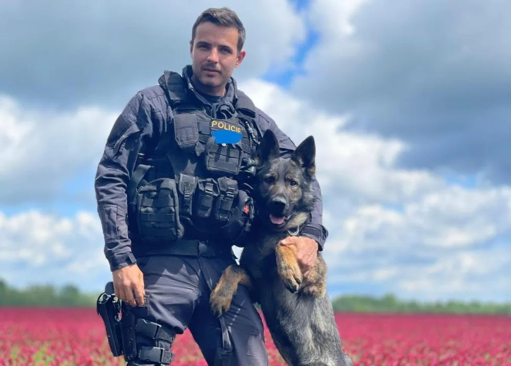 Šťastný konec pátrání. Policejní pes našel muže, který chtěl spáchat sebevraždu