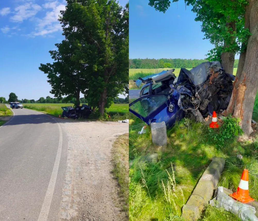 Mladá žena nepřežila nehodu u Břehova. S autem narazila do stromu