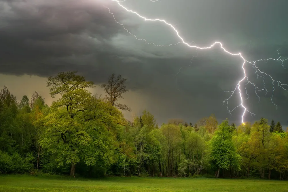 Ilustrační foto.