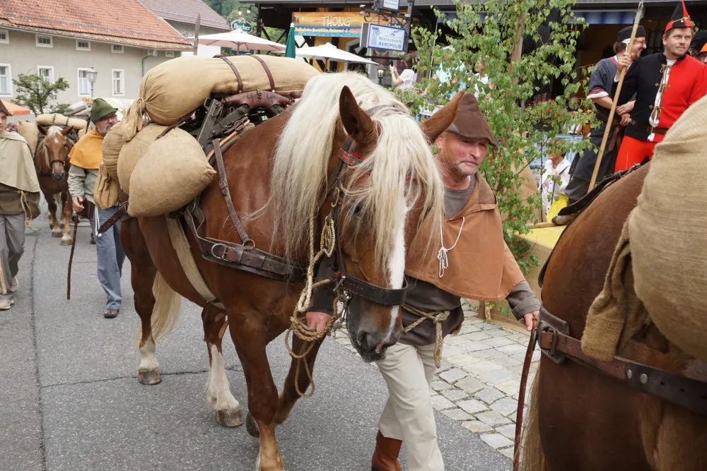 Šumavští středověcí soumaři půjdou poprvé s koňmi a obilím z Rakouska do Německa