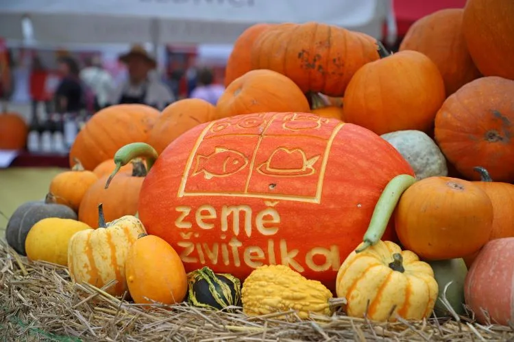 Země živitelka láká na nejsilnější traktor i největšího osla Vyhrajte vstupenky a užijte si živitelku zadarmo