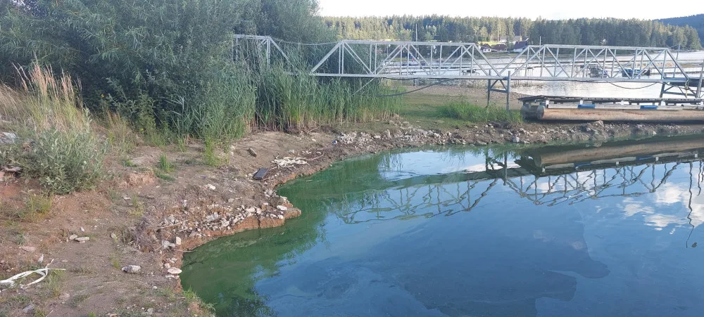 Tuto fotku sdílel spolek Lipensko pro život, podle kterého jde o sinice a olejovou skvrnu.