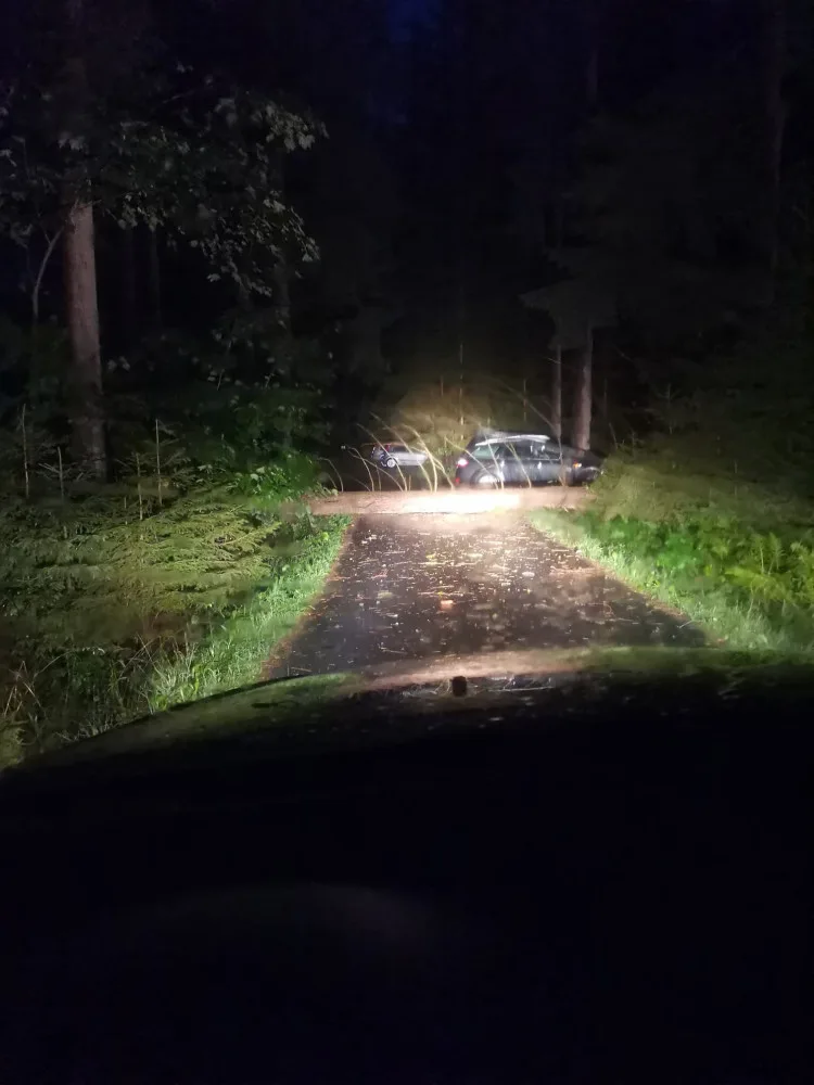 Strom, který spadl na Lipensku. Foto: Petra Kadlecová