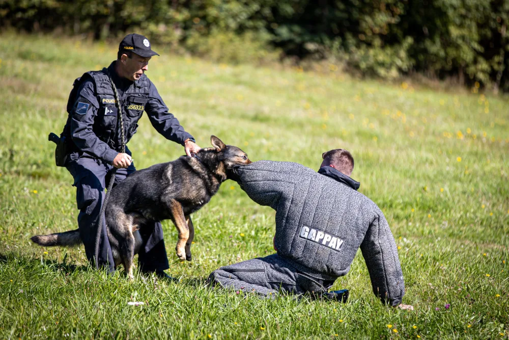 Zažijte Den s Integrovaným záchranným systémem na vlastní kůži