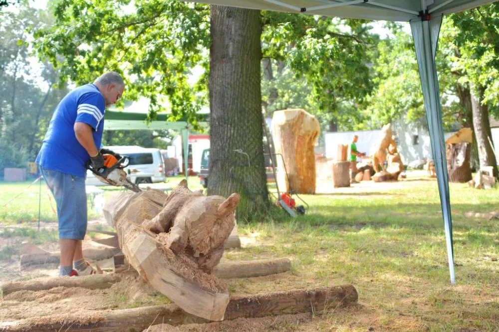 Dřevosochařské sympozium je tady, v Zoo Hluboká