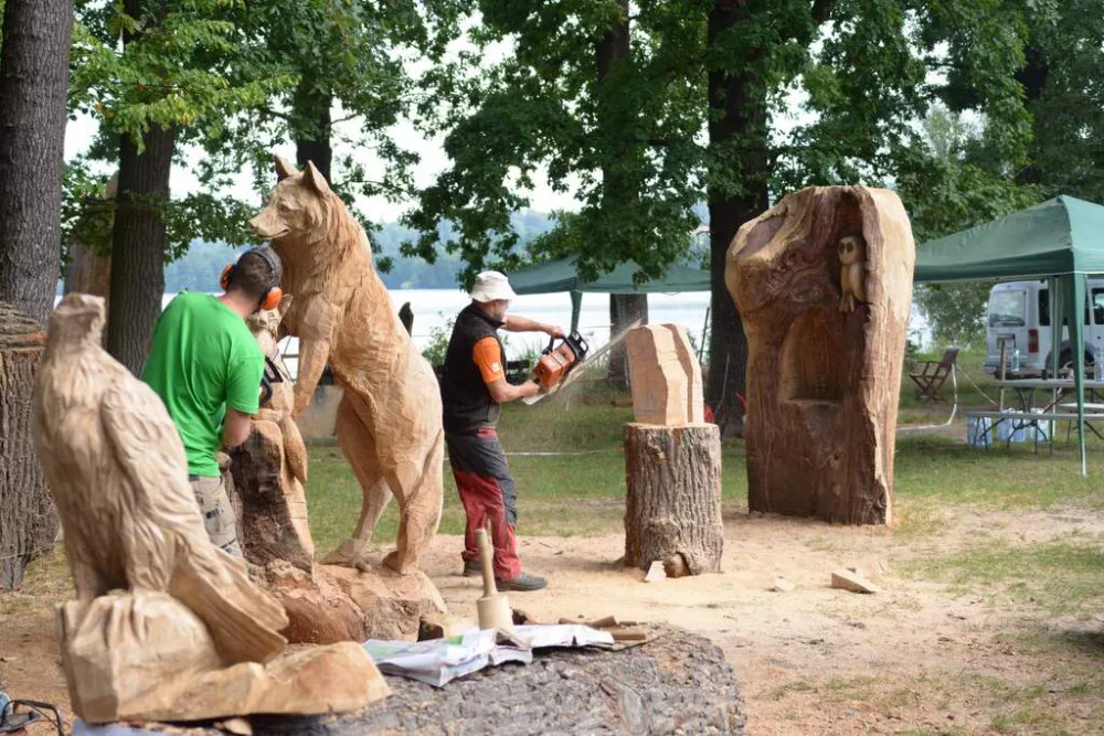 Dřevosochařské sympozium je tady, v Zoo Hluboká