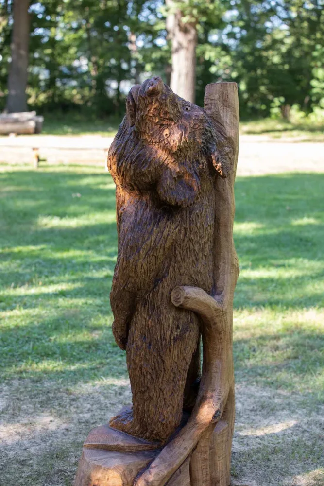 Dřevosochařské sympozium proběhlo před areálem Jihočeské zoologické zahrady