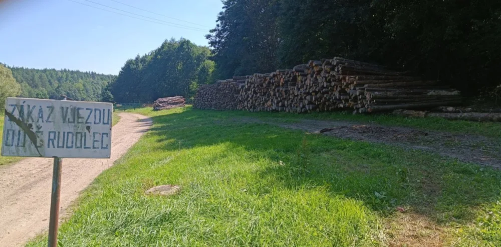 Rozdíl v těžbě a prodeji obecního dřeva v Českém Rudolci řeší policie