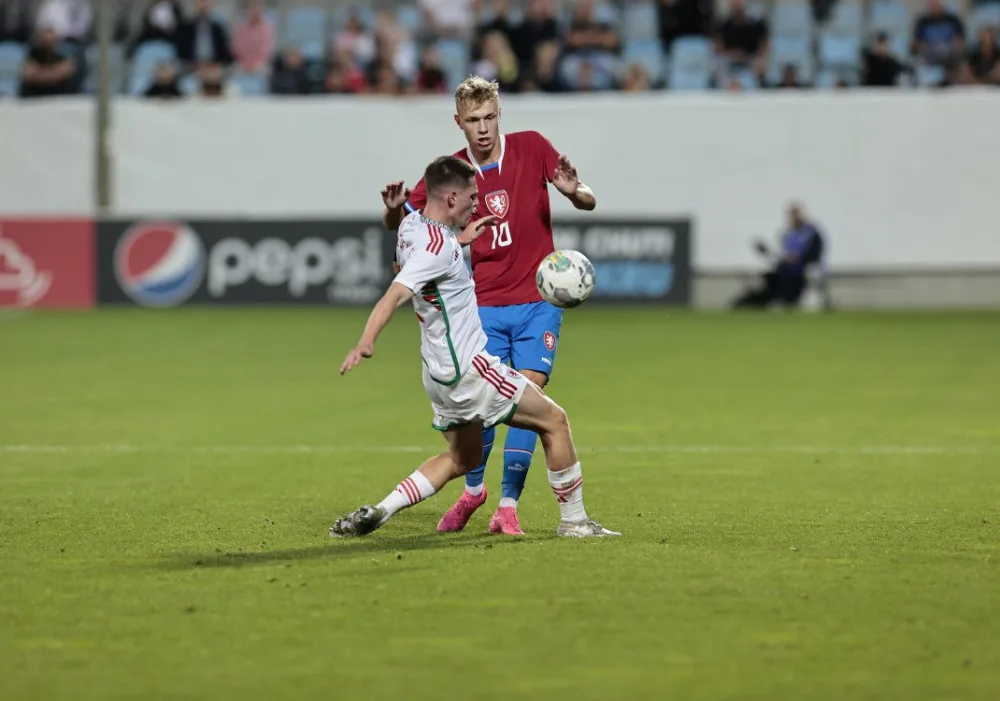 Lvíčata na Střeleckém ostrově remizovala s Walesem