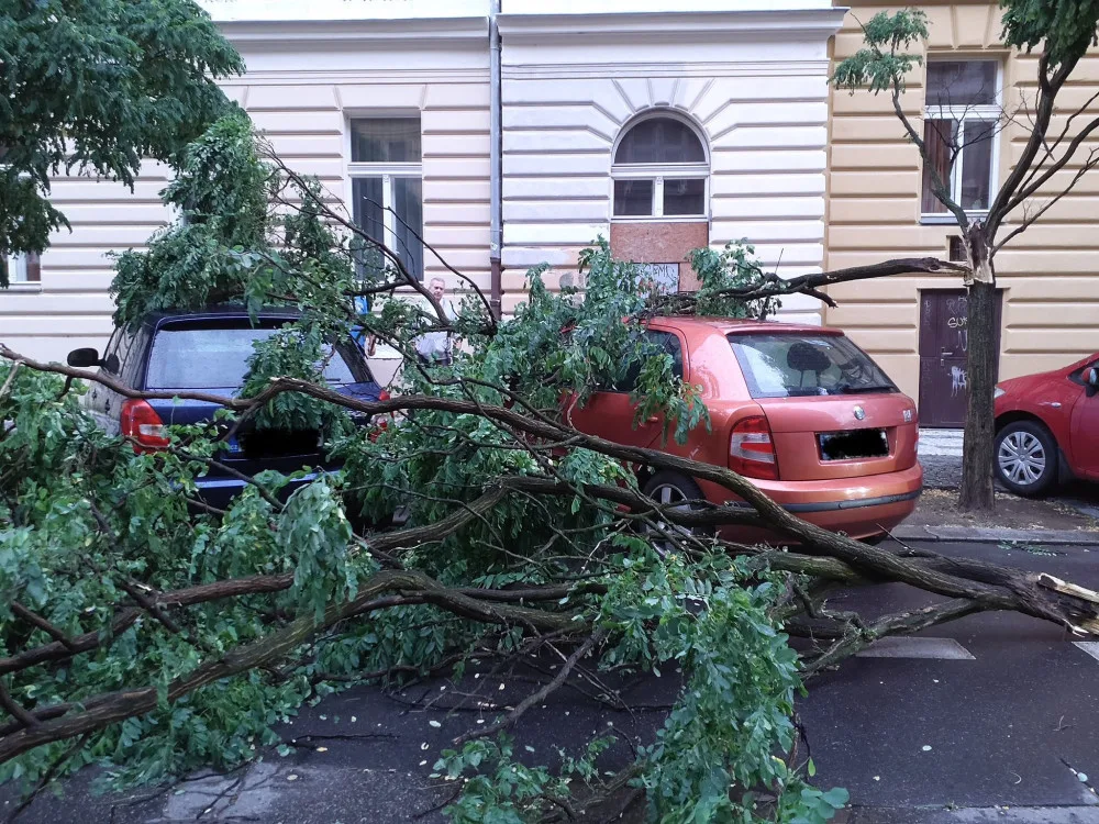 Meteorologové varují před silným větrem, přinese chladnější počasí i přízemní mrazíky