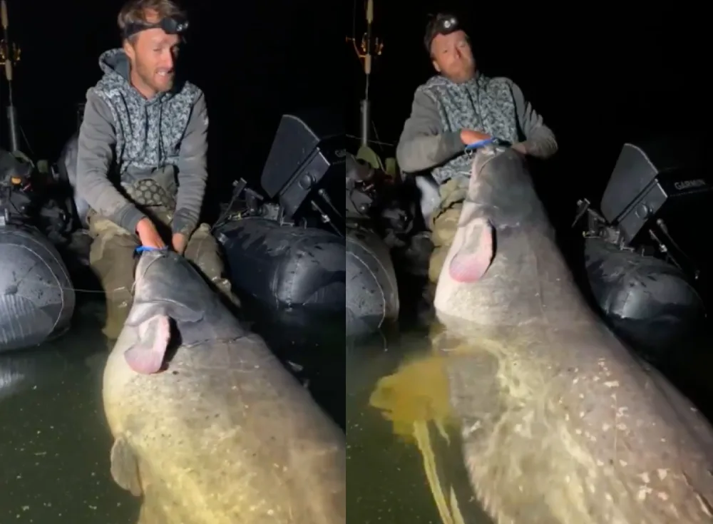 Z Orlíku vytáhl rybář Jakub Vágner obřího sumce. Měřil 250 centimetrů