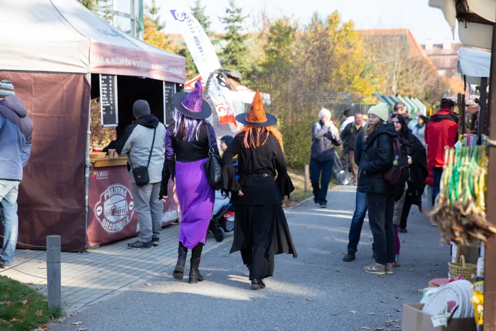 KULTURNÍ TIPY: Zajděte do Strašidelné zoo, na halloweenský průvod nebo poslední podzimní trhy v Žižkárně