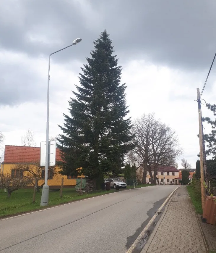 Vánoční strom v Jindřichově Hradci bude zdobit dva kilometry dlouhý světelný řetěz.