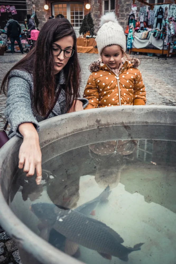 Začíná budějovický advent. Nasvícená zoo láká tisíce návštěvníků, vánoční atmosféru navodí i na výstavišti