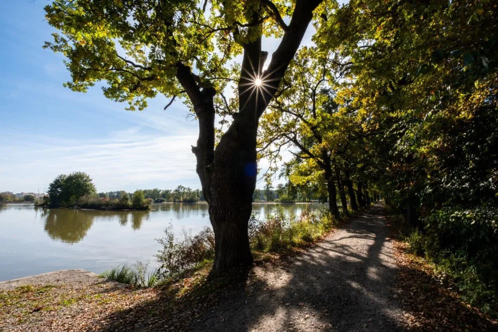 Nedaleko jsou také Vrbenské rybníky či řeka Vltava.