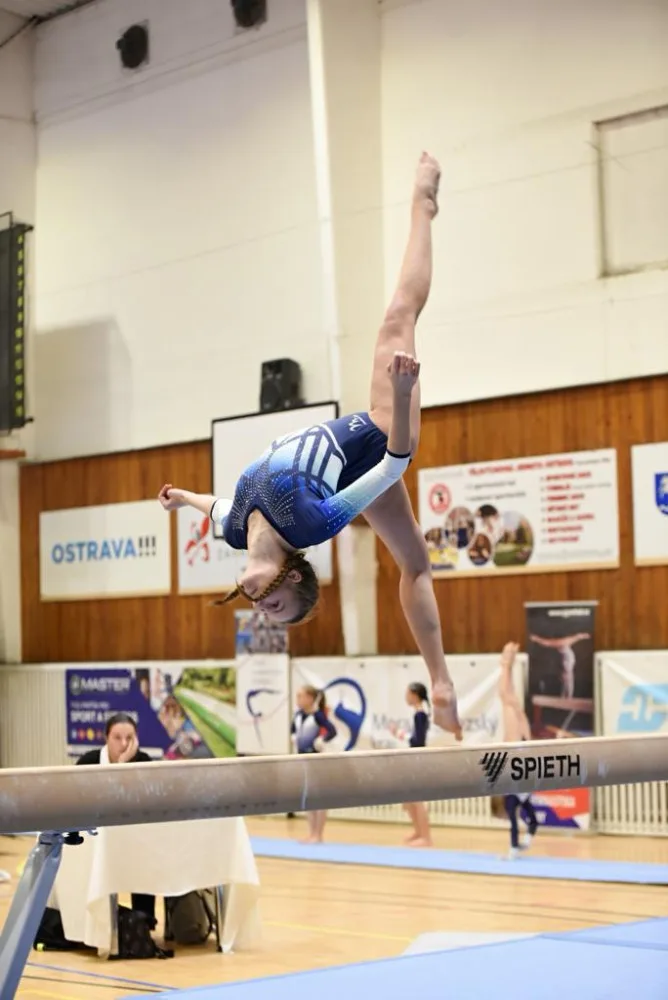 Stříbrnou medaili z Mistrovství republiky si přivezly budějcké sportovní gymnastky
