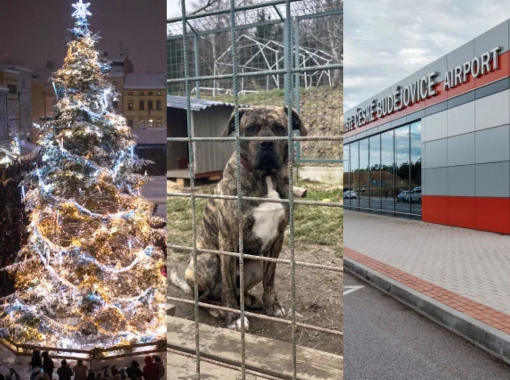 PROSINEC 2023: Nejkrásnější strom stojí v Budějcích, odletů do Turecka bude více