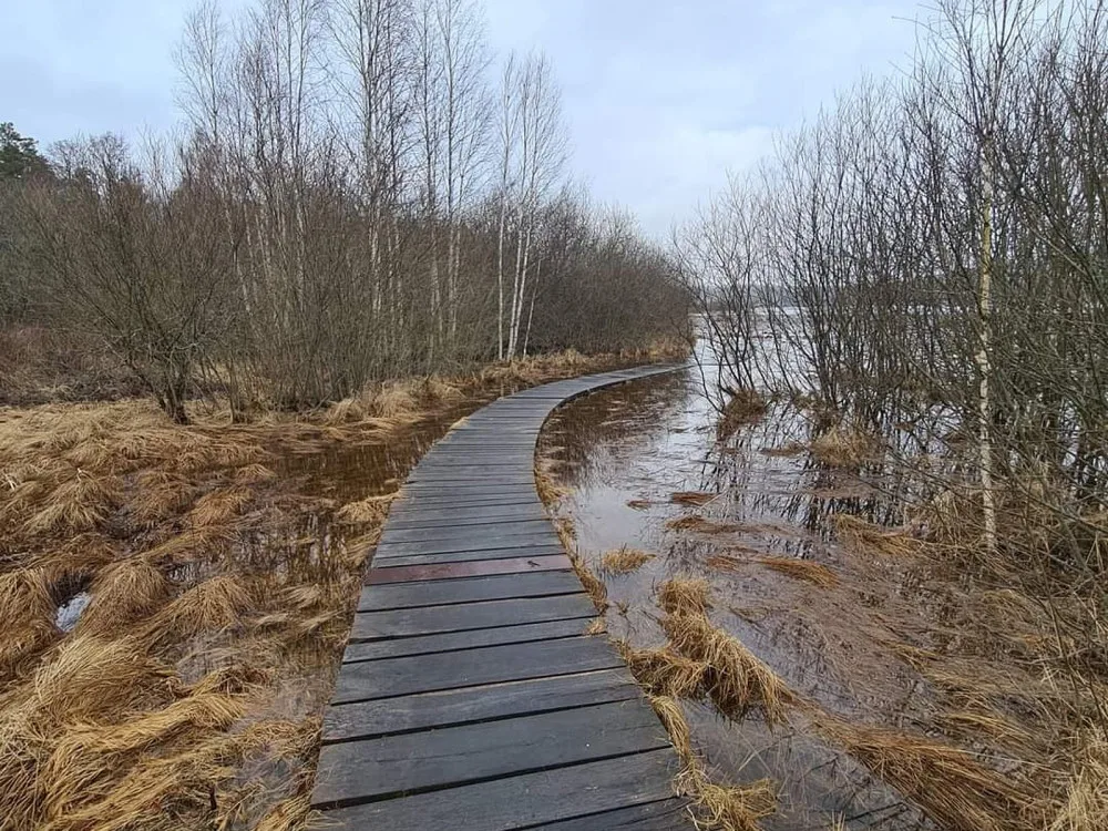 Kvůli dešťům a sněhu se lidé nedostanou na šumavskou stezku kolem Olšiny