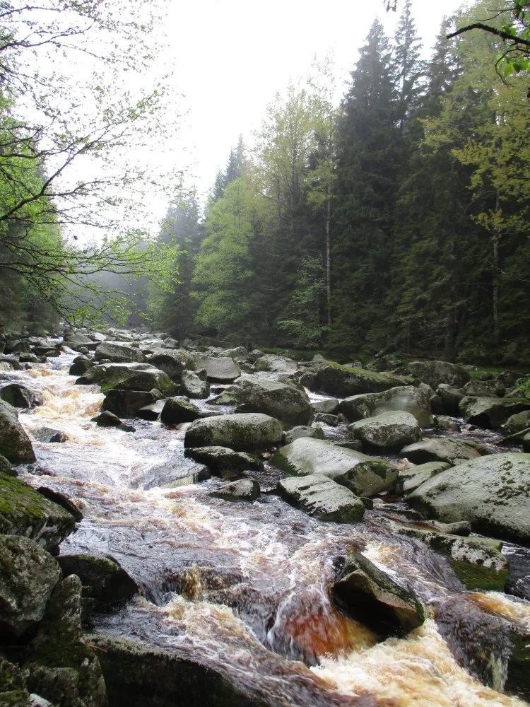 Šumava by se mohla více otevřít turistům, klidová území se zmenší