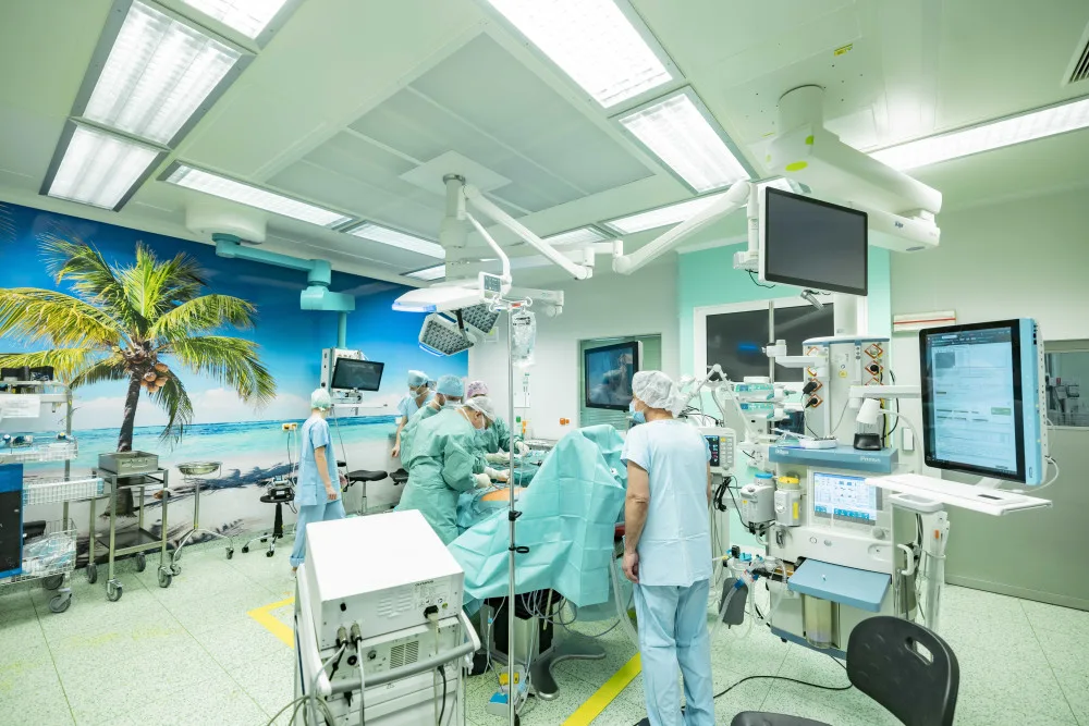 Operační sály nemocnice v Jindřichově Hradci oživují tapety s přírodními motivy
