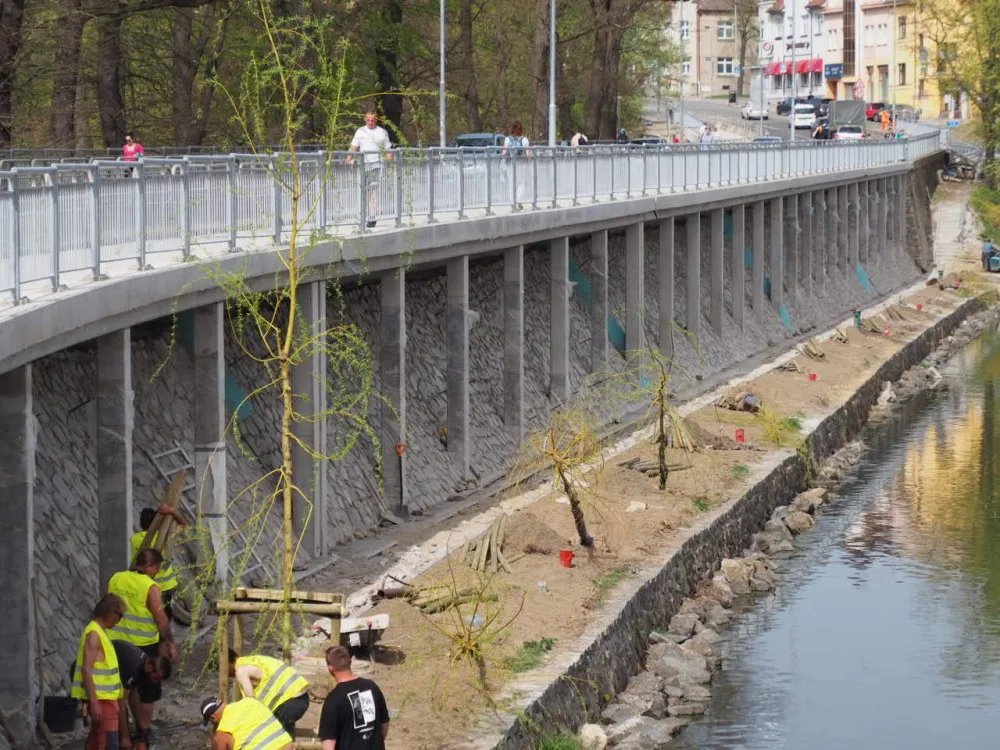 Zahradníci začali sázet nové vrby na hráz táborské vodní nádrže Jordán