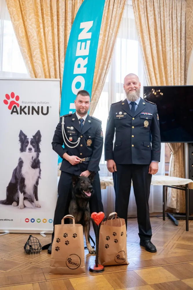 Policejní pes Rapp si odnesl ocenění v anketě Statečné psí srdce. Život zachránil ztracenému muži