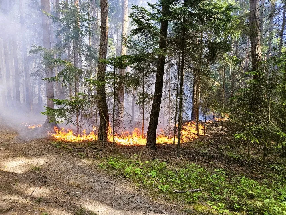 Hasiči řešili požáry a popadané stromy. Filipojakubská noc byla ale klidná