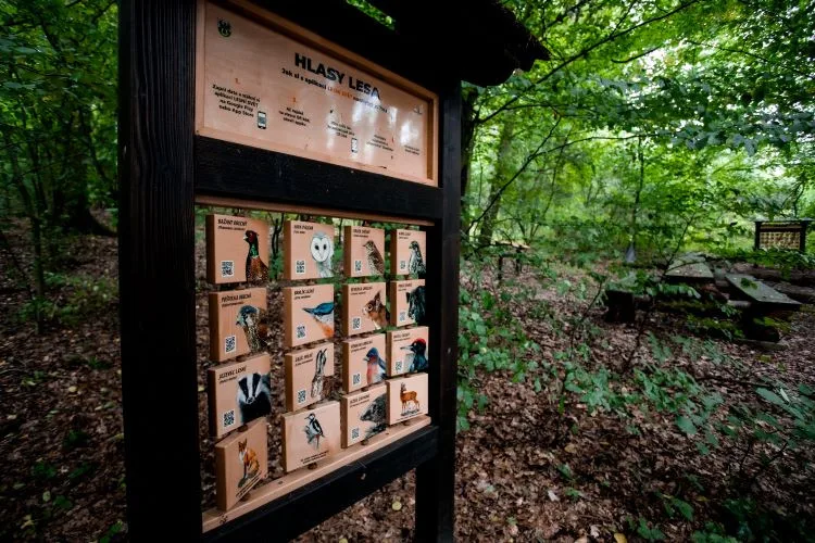 Podpořený projekt zaměřený na dovybavení stezky a nákup herních prvků v Chotýčanech