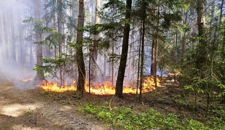 Kvůli suchu a větru hrozí od noci v části kraje nebezpečí vzniku požárů