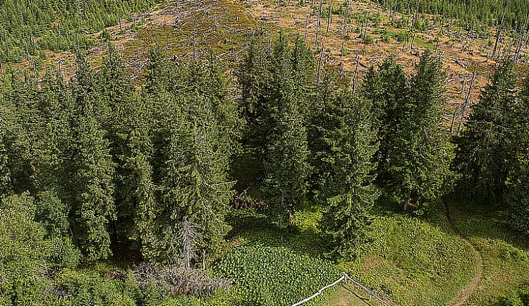 Národní park Šumava zavedl kvůli bezpečnosti nové opatření proti bezohledným návštěvníkům