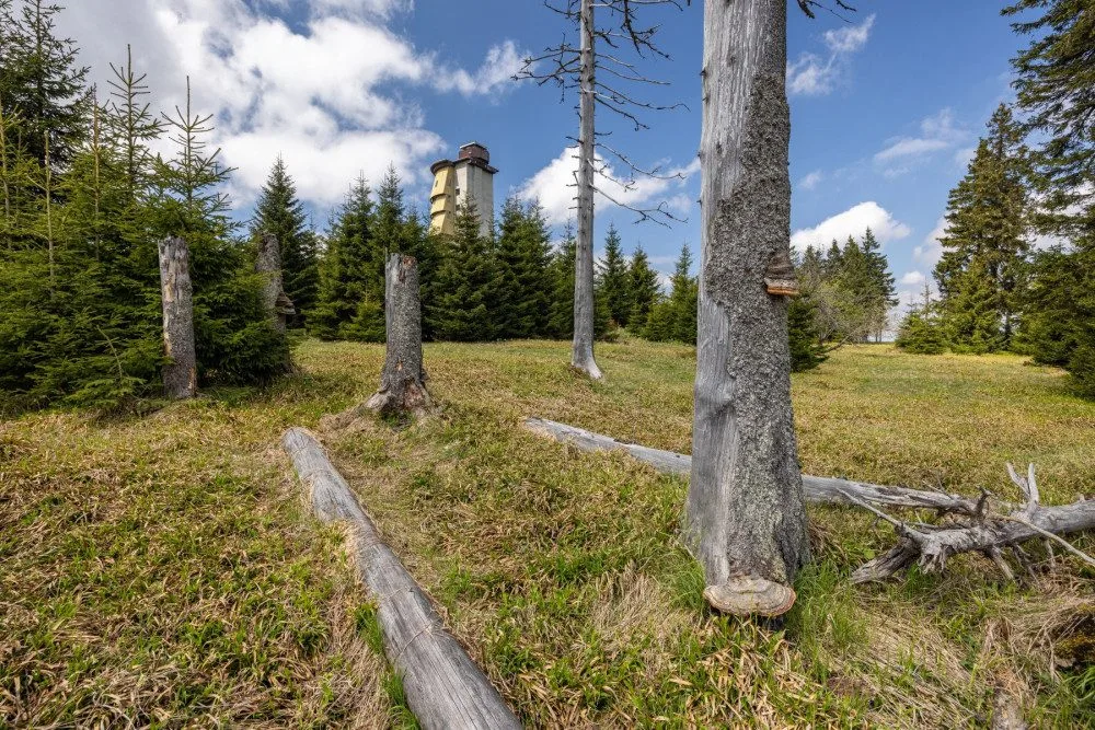 Národní park Šumava zavedl kvůli bezpečnosti nové opatření proti bezohledným návštěvníkům