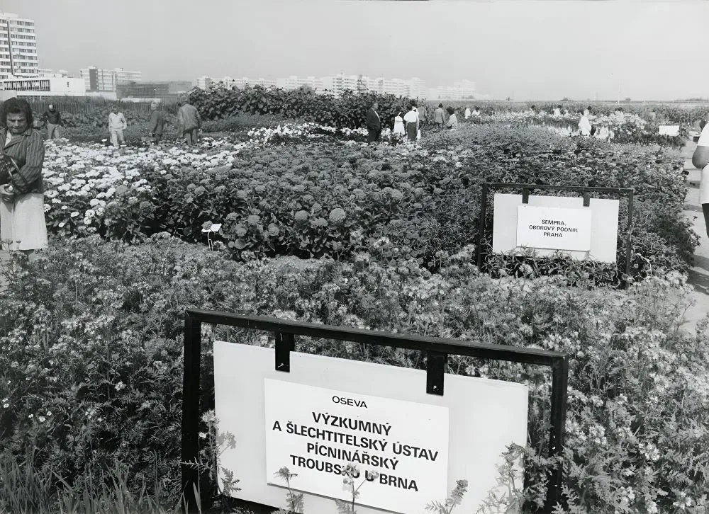 Pokusná políčka v roc  1985