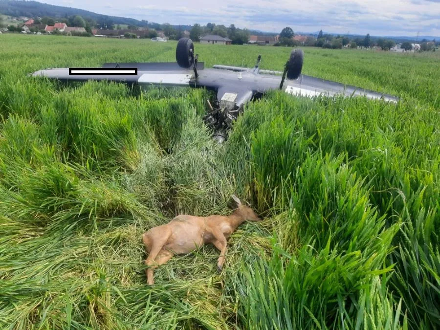 Letecká nehoda u Protivína: při nouzovém přistání srazil pilot srnce