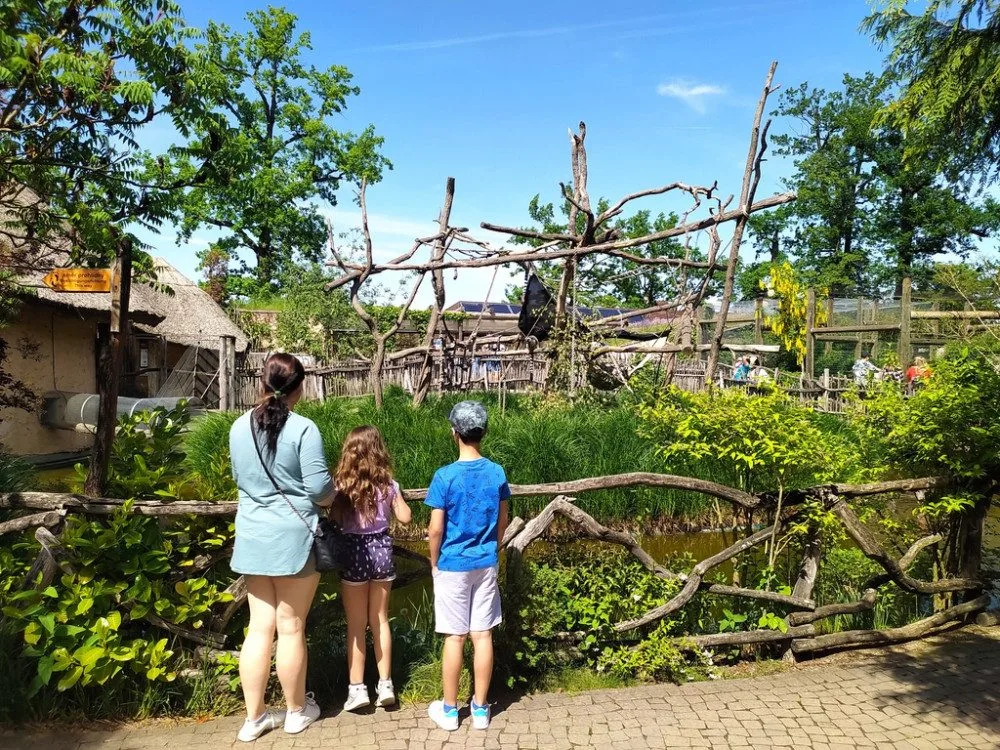 Akce Zachraň karase se koná v Jihočeské zoologické zahradě Hluboká nad Vltavou