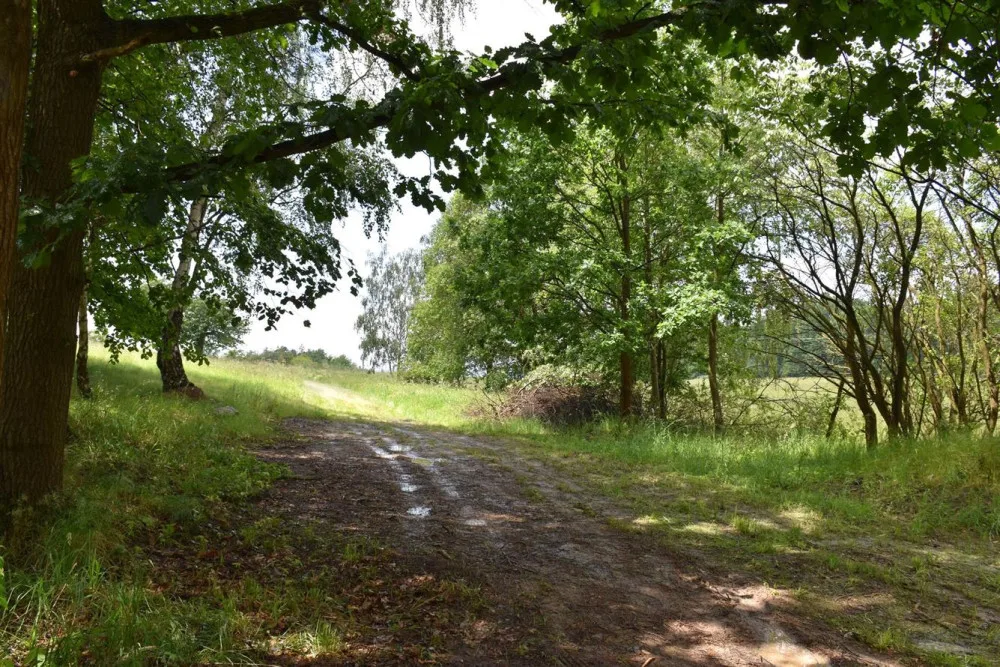 Bývalý lom přetvořili v Písku na veřejné ohniště, láká na pikniky i opékání špekáčků