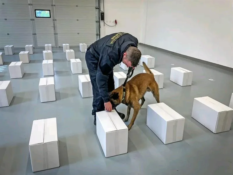 V deseti letech jde policejní šampion do důchodu. Button je prostě borec, říká jeho páníček
