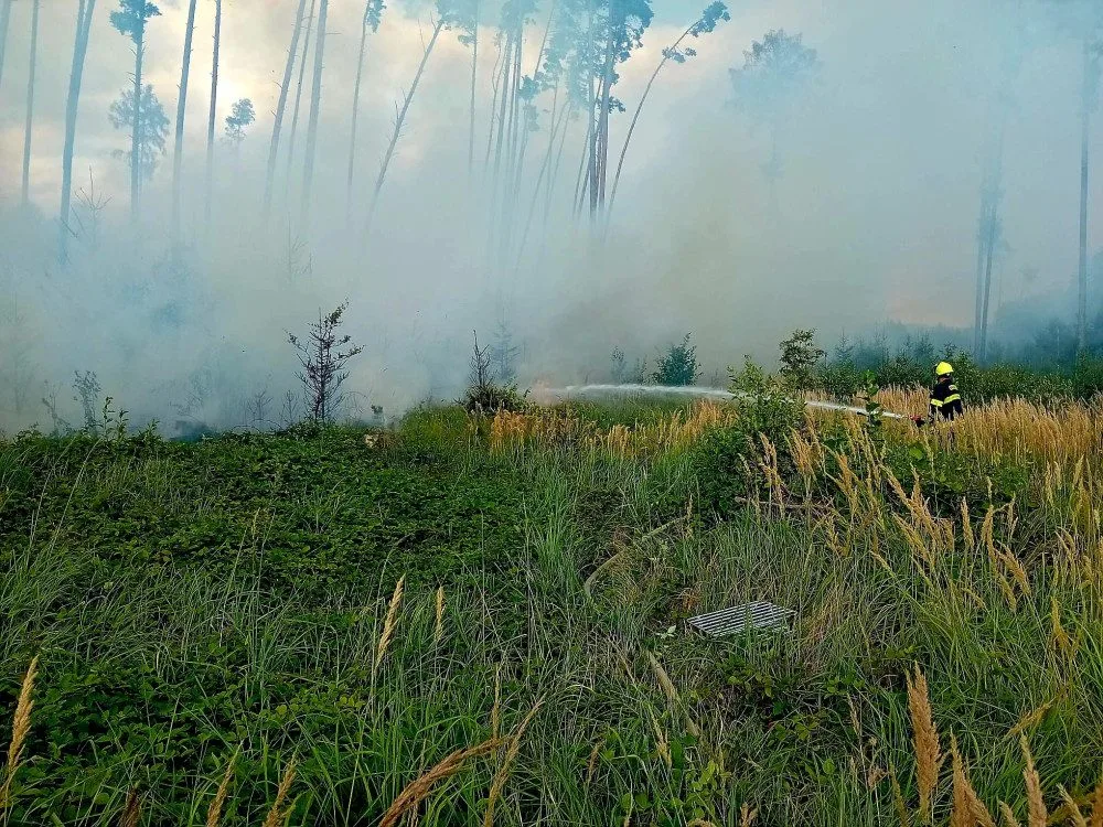 Požár zachvátil les u Bělčic na Strakonicku. Hasiči vyhlásili druhý stupeň požárního poplachu a vyžádali si leteckou podporu