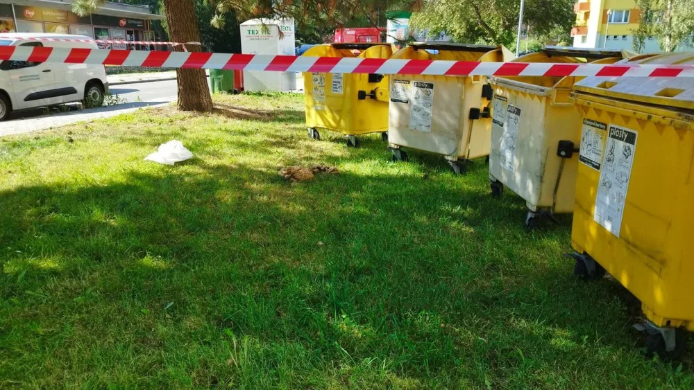 V Písku někdo vyhodil do kontejneru na plast celé včelstvo