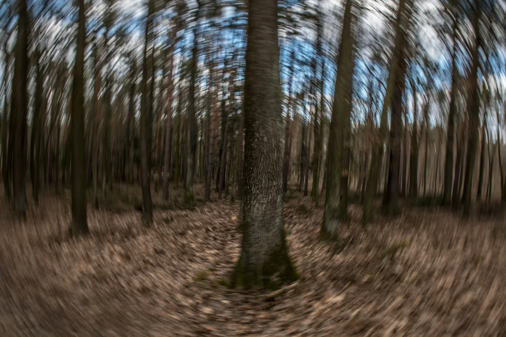 Vizuální i zvukové efekty, simulace střelby a děsivé masky. Amatérští filmaři natáčí v Branišovském lese horor