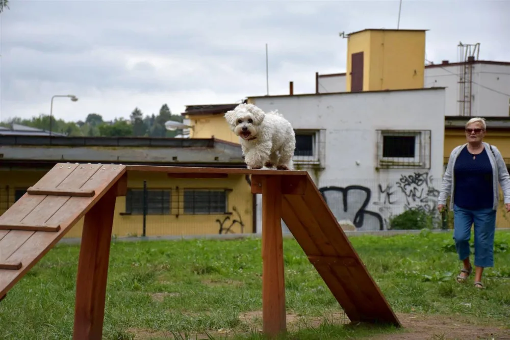 V Písku mají nové psí hřiště, pejskaři na něj čekali celé dva roky