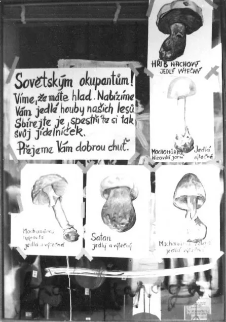 Srpen 1968 v Českých Budějovicích.