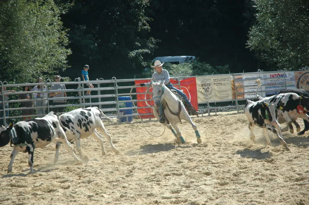 Americké rodeo v Boršově nad Vltavou. Soutěž o mistra ČR, slavnostní atmosféra a spousta zábavy na louce u Vltavy