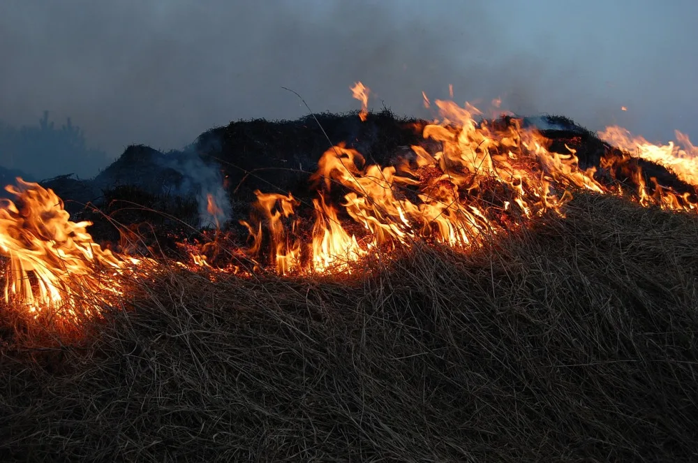 Meteorologové vydali výstrahu před požáry, platí pro celou zemi