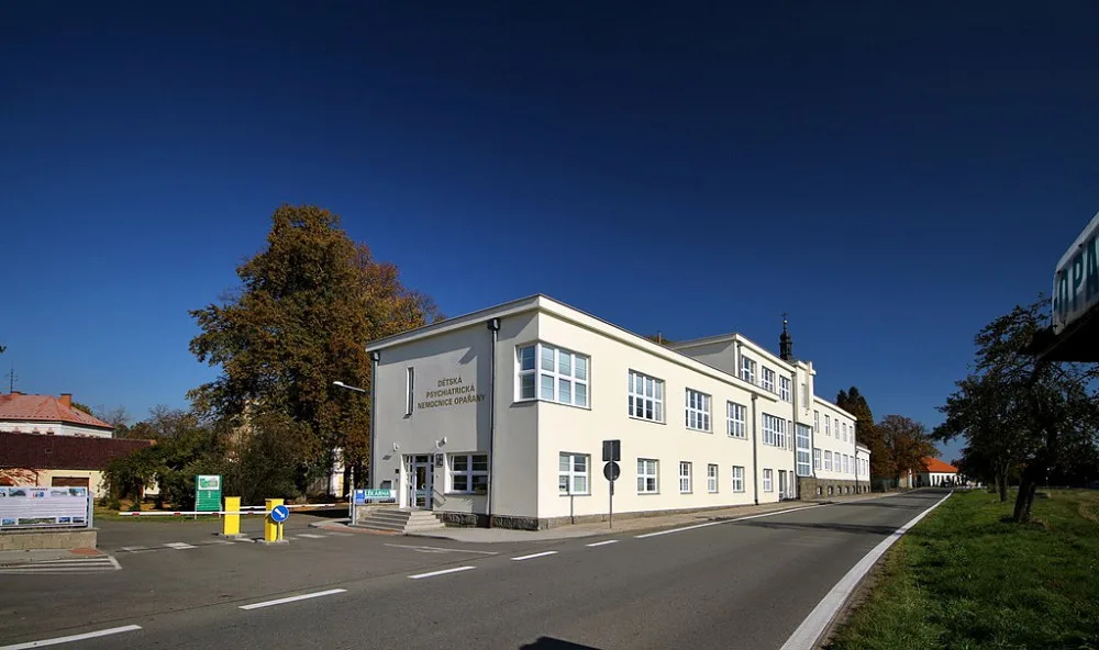 Dětí s psychiatrickou diagnózou v Česku podle odborníků stále přibývá